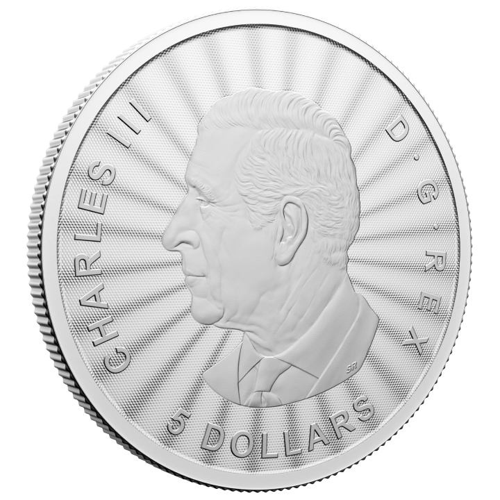 Kanada: A fenséges jegesmedve 1 uncia ezüst 2024 (kártyában)