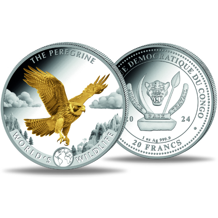Congo: World‘s Wildlife - Peregrine Falcon pozłacany 1 uncja Srebra 2024