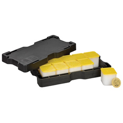 The Royal Tudor Beasts: The Tudor Dragon 1 oncia d'oro 2024