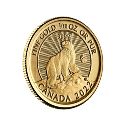 Canada: The Majestic Polar Bear 1/10 oz Gold 2022 Coin