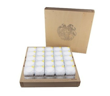 Originální Masterbox na stříbrné mince typu Archa Noemova 1/4 unce stříbra