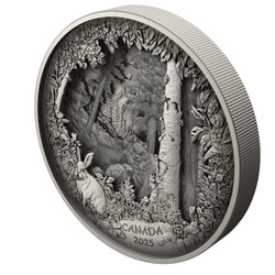Canada: Predator or Prey in Shadow Box $175 Srebro 2025 Antique Finish