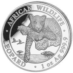 Fauna selvatica africana: Leopardo 1 oncia d'argento 2020