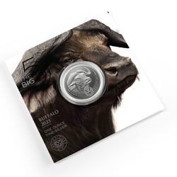 Big Five II: Buffalo 1 oncia d'argento 2023