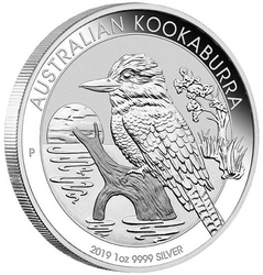 Kookaburra 1 oncia d'argento 2019 PACCHETTO DA 100 PEZZI