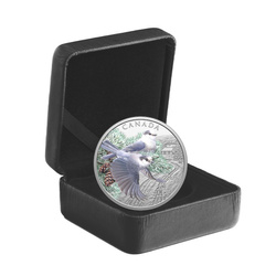 Silbermünze Bunte Vögel: Kanadische Häher koloriert 1 Unze Silber 2026 Proof