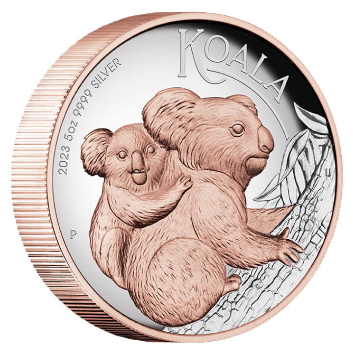 Australian Koala 5 oz Silber 2023 Proof High Relief Gilded Coin