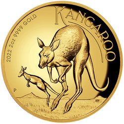 Zestaw Australijski Kangur 1 uncja & 2 uncje Złota 2022 Proof 