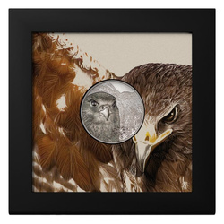 Mongolia: Mongolian Falcon 1 uncja Platyny 2023 Proof Ultra High Relief