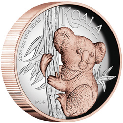 Koala Australiano bañado en Oro 5 oz Plata 2024 Proof Alto Relieve