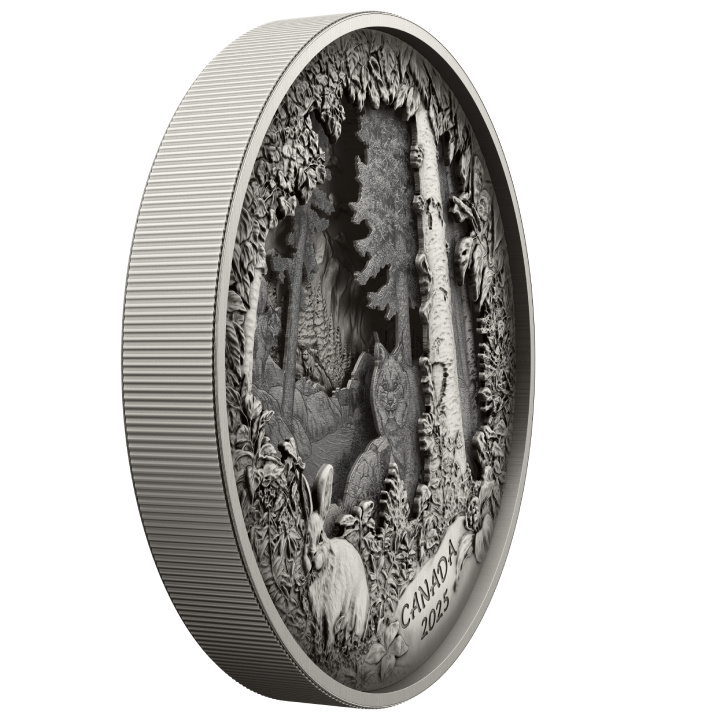 Canada: Predatore o preda in cornice $175 Argento 2025 Finitura anticata