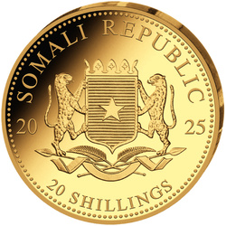 Somalia: African Wildlife - Leopard 0,5 grama Złota 2025 Proof