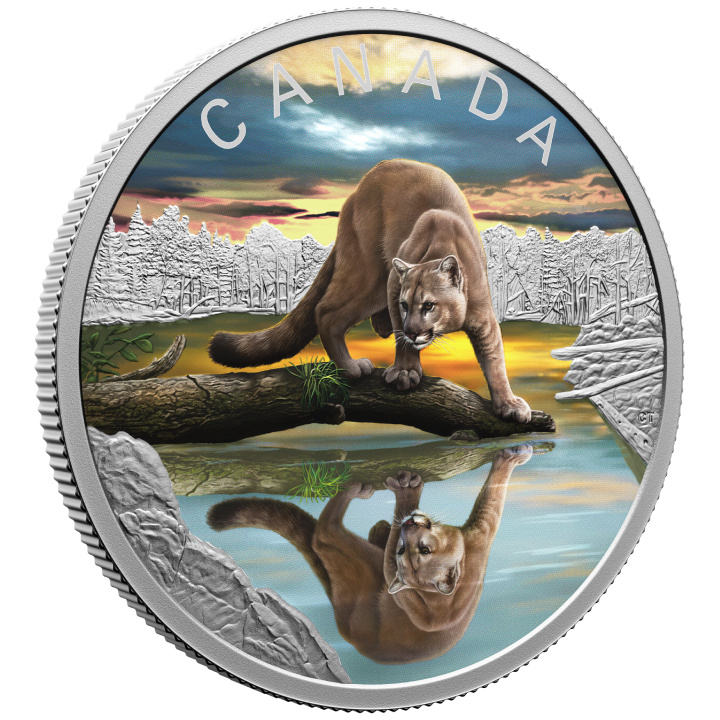 Canadá: Wildlife Reflections - Puma colorado $20 Plata 2024 Proof