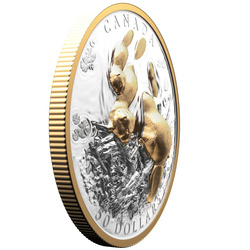 Canadá: Símbolo Canadiense – El Castor chapado en oro $50 Plata 2025 Proof High Relief