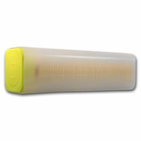 American Eagle 1/2 oz Gold 2021 type 2