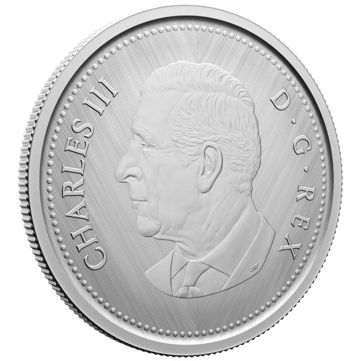 Canada: Omaggio - W Marchio di zecca “Caribou” 25 centesimi d'argento 2024 Specimen