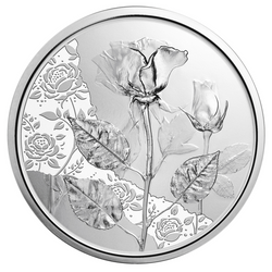 Rose 10 Euro Silber 2021