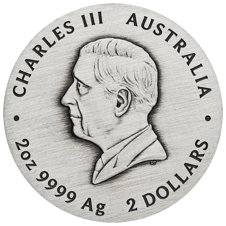 Perth Mint: Lunar III - Rok Węża 2 uncje Srebra 2025 Antiqued Coin