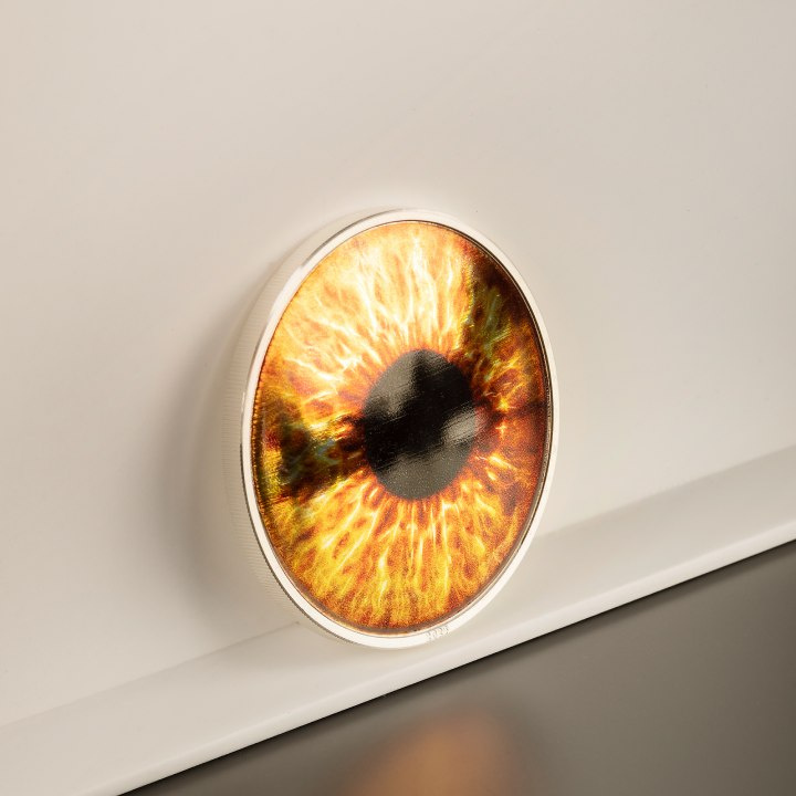 Palau: Coloreyezed – Hazel Brown coloured 1 oz Silber 2023 Proof