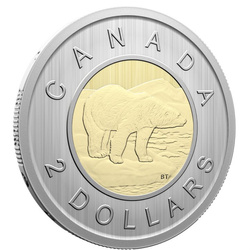 Ensemble Canada : Conservation Stories : Monarch Butterfly 6 pièces 2025 Specimen