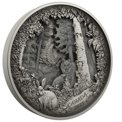 Canada: Predator or Prey in Shadow Box $175 2025 Silver Antique Finish Coin