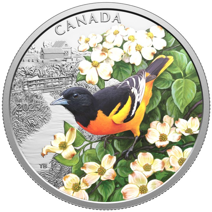 Kanada: Színes madarak – Baltimore Oriole színes 20 dollár ezüst 2025 Proof