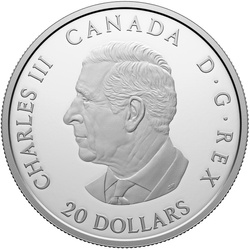 Canada: Colourful Birds - American Goldfinch $20 coloured Silver 2024 Proof Coin