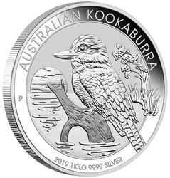 Kookaburra 1000 gramos Plata 2019