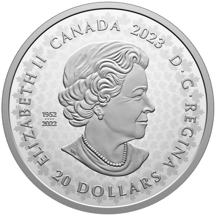 Canada: Grandi cacciatori - Orso grizzly $20 Argento 2023 Moneta Proof Ultra High Relief