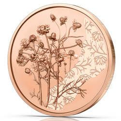 La Manzanilla 10 Euro Cobre 2023