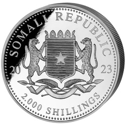 African Wildlife: Leopard 1000 grams Silver 2023