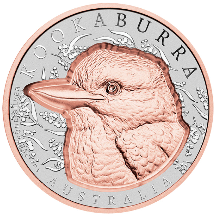 Niue: Native Impressions - Koala 1 oz Silver 2025 Gilded Prooflike Super Incused