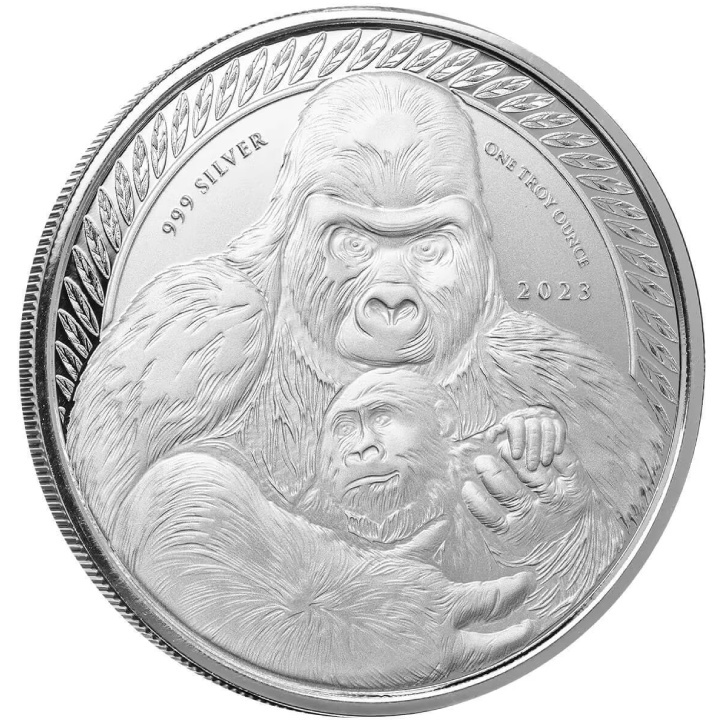 Congo: Silverback Gorilla 1 oz Silber 2023