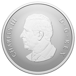 Canada: Welcome to the World $10 Silver 2026 Reverse Proof