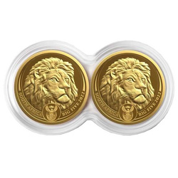 Big Five II: Set Lion 2 x 1/4 oncia d'oro 2022 Proof