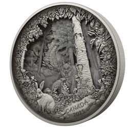 Canada: Predator or Prey in Shadow Box $175 2025 Silver Antique Finish Coin