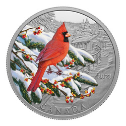 Canada: Colourful Birds - Northern Cardinal kolorowany $20 Srebro 2023 Proof