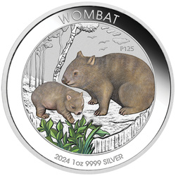 Australijski Wombat kolorowany 1 uncja Srebra 2024