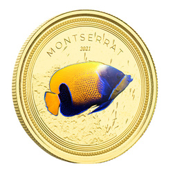 Montserrat Blue Girdled Angelfish kolorowany 1 uncja Złota 2021 Proof 