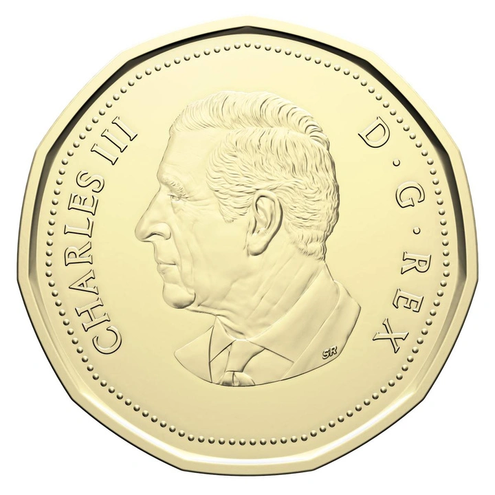 Lucky Loonie $1 Stal Platerowana Mosiądzem 2026