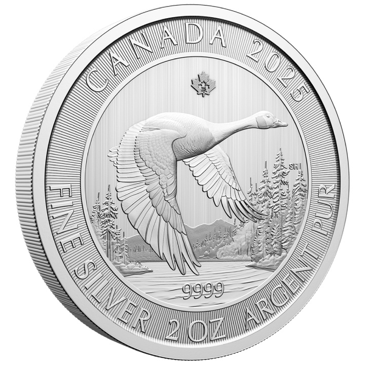 Canadá: Ganso 2 oz Plata 2025