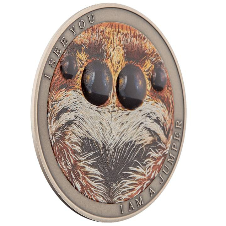 Niue: Wild Africa - The Jumping Spider kolorowany $1 Srebro 2022 Antique Finish