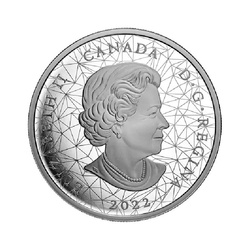 Canada: Famiglia animale multiforme - Aquile calve 2 once d'argento 2022 Proof