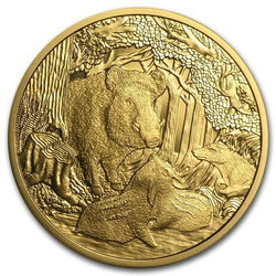 La fauna en nuestro punto de mira: Jabalí 100 Euro 2014 Proof