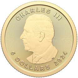 Kanadyjski Liść Klonowy Treasured 1/10 uncji Złota 2024 Polar Bear Privy Mark (First Strikes)