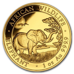 Vida salvaje africana: Elefante somalí 1 oz Oro 2019