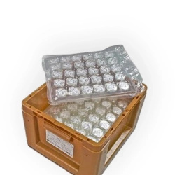 Kínai Panda 30 grammos ezüst 2026