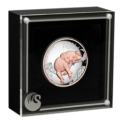 Koala australien plaqué or 5 onces d'argent 2022 Proof High Relief