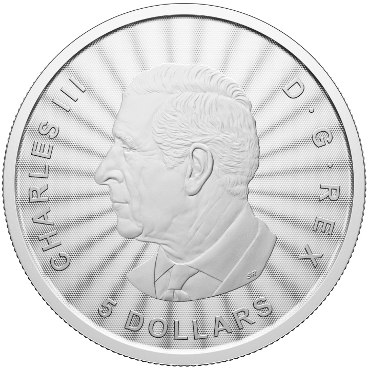 Kanada: The Majestic Polar Bear 1 oz Silver 2025