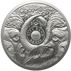 Big Five II: Búfalo 2 x 1 oz Plata 2023 Proof set